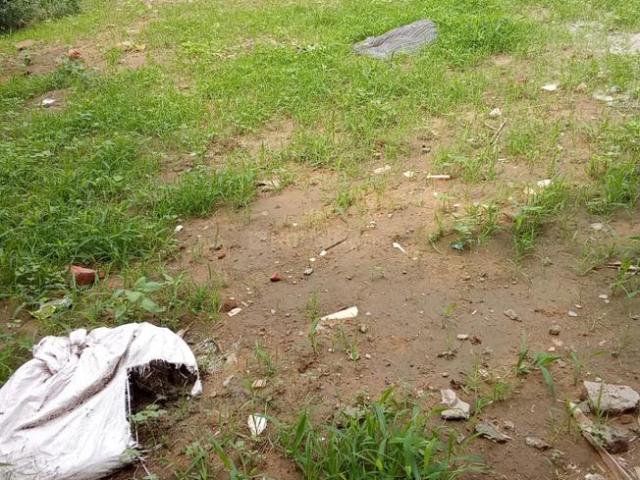 Residential Plot in Sector 52 for resale Gurgaon. The reference number is 20513259