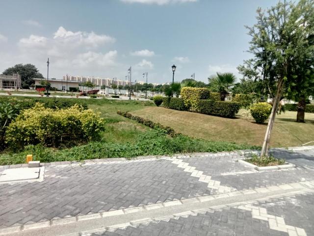 Residential Plot in Sector 5 for resale Sohna. The reference number is 20042624