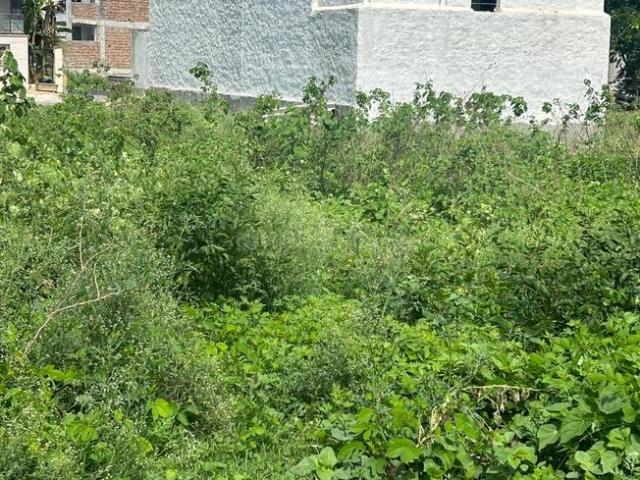 Residential Plot in Sector 62 for resale Faridabad. The reference number is 16785385