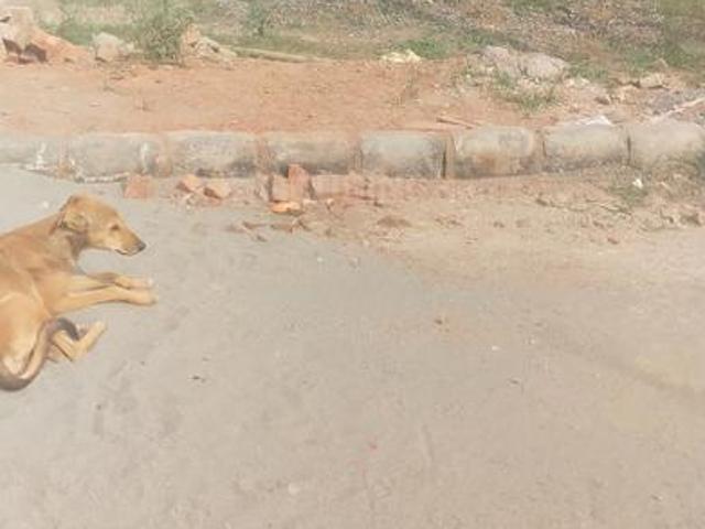 Residential Plot in Sector 78 for resale Faridabad. The reference number is 18712597
