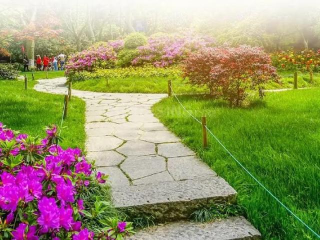 Residential Plot in Sector 78 for resale Gurgaon. The reference number is 20936257