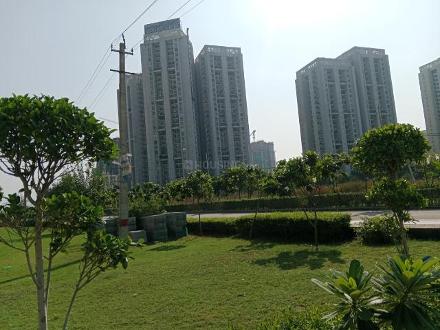 Residential Plot in Sector 78 for resale Gurgaon. The reference number is 20021569