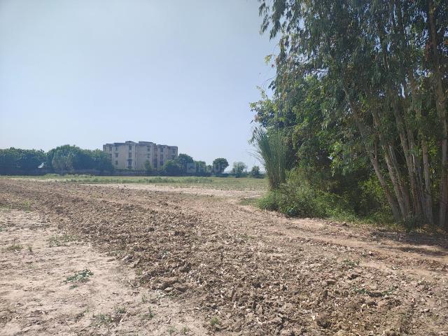 Residential Plot in Sector 7 for resale Sohna. The reference number is 18429279