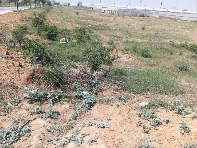 Residential Plot in Sector 88A for resale Dwarka Expressway. The reference number is 16714777