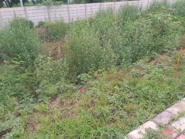Residential Plot in Sector 93 for resale Gurgaon. The reference number is 17437219