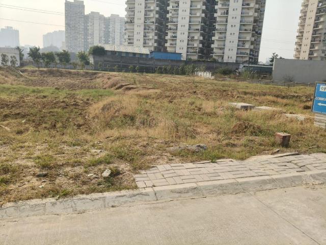 Residential Plot in Sector 95 for resale Gurgaon. The reference number is 20499843