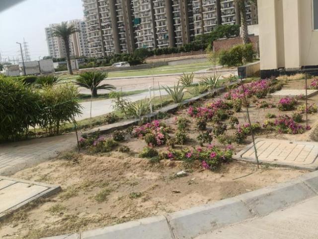 Residential Plot in Sector 95 for resale Gurgaon. The reference number is 20213094