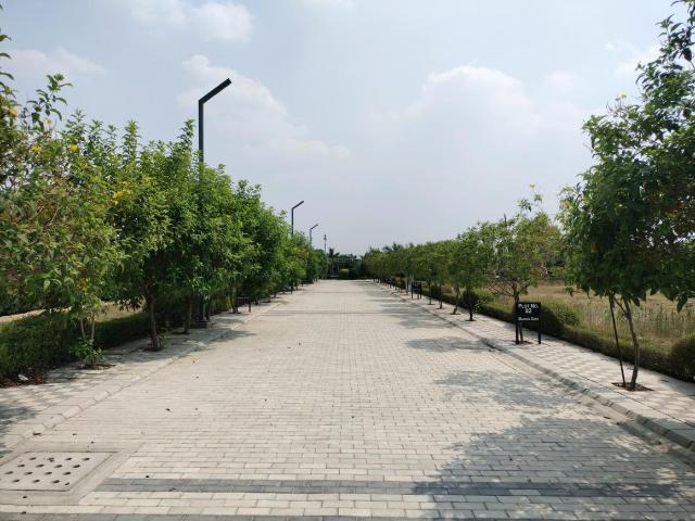 Residential Plot in Sector 98 for resale Faridabad. The reference number is 20120207