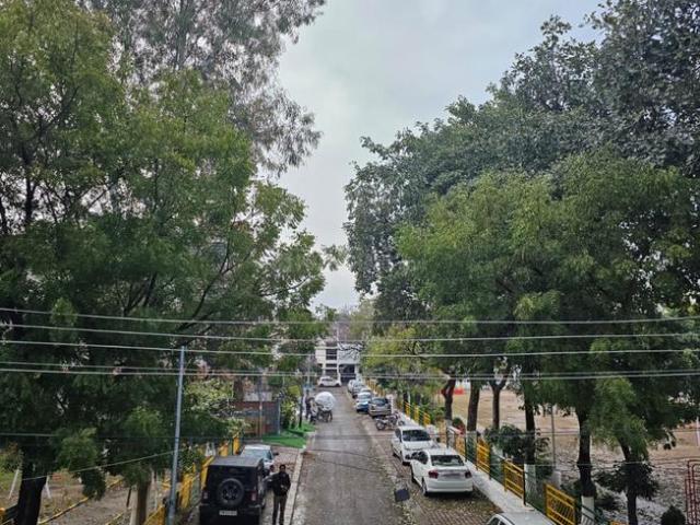 Residential Plot in Sector 99 for resale Mohali. The reference number is 17346988