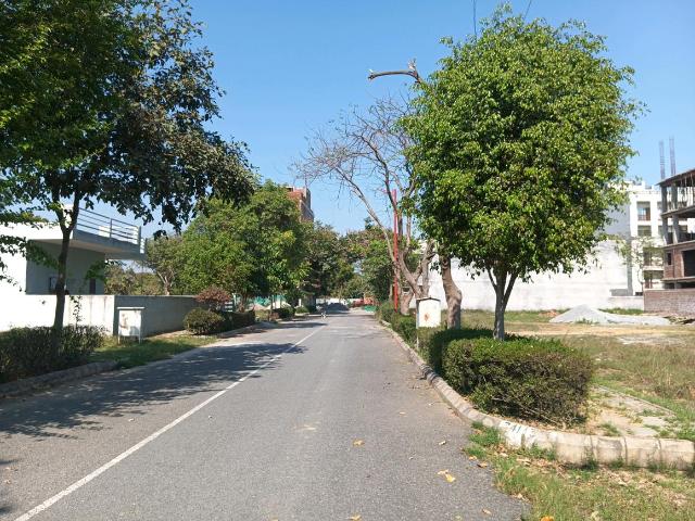 Residential Plot in Sector 99 for resale Gurgaon. The reference number is 19603716