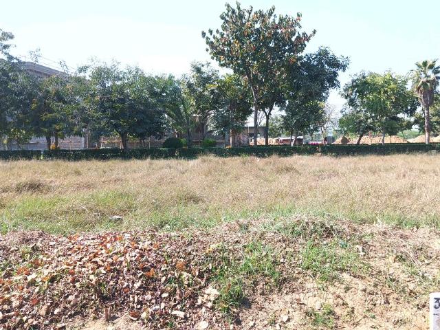 Residential Plot in Sector 99 for resale Gurgaon. The reference number is 19603723