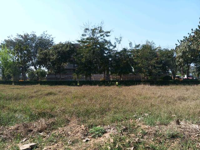 Residential Plot in Sector 99 for resale Gurgaon. The reference number is 19603734