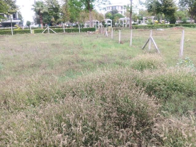 Residential Plot in Sector 99 for resale Gurgaon. The reference number is 19902465