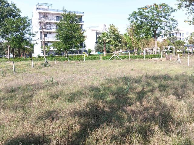 Residential Plot in Sector 99 for resale Gurgaon. The reference number is 19988048