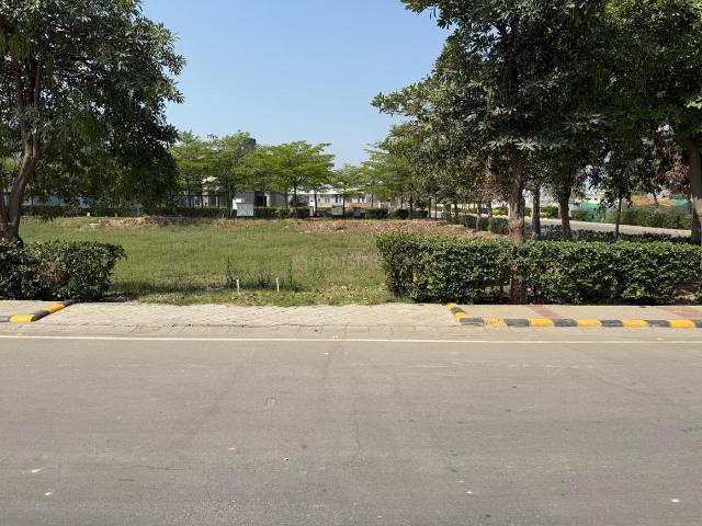 Residential Plot in Sector 99 for resale Gurgaon. The reference number is 20590103