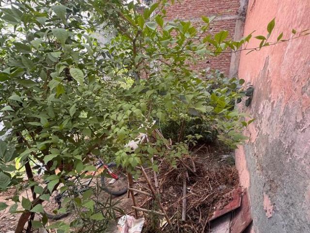 Residential Plot in Sector 105 for resale Gurgaon. The reference number is 20425815