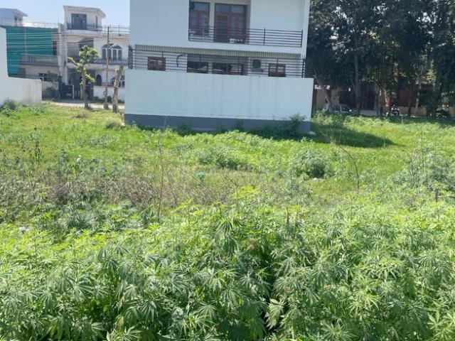 Residential Plot in Sector 105 for resale Mohali. The reference number is 18048045