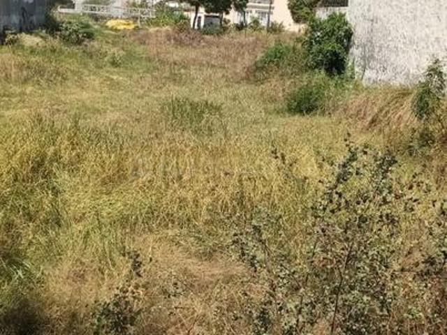 Residential Plot in Sector 108 for resale Mohali. The reference number is 19053135