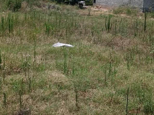 Residential Plot in Sector 108 for resale Mohali. The reference number is 20563152