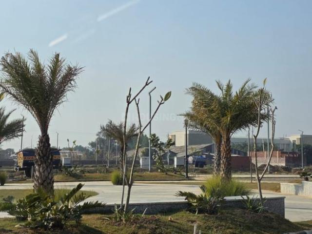 Residential Plot in Sector 117 for resale Mohali. The reference number is 20803168