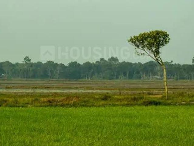 Residential Plot in Sector 123 for resale Mohali. The reference number is 16805344