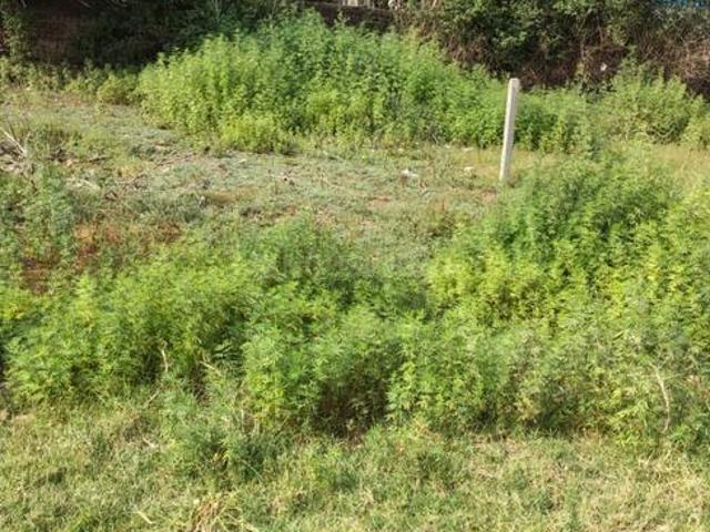 Residential Plot in Sector 127 for resale Mohali. The reference number is 20421199