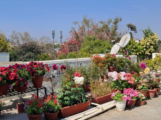 Residential Plot in Sector 128 for resale Noida. The reference number is 18966979