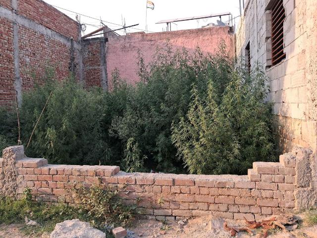 Residential Plot in Sector 144 for resale Noida. The reference number is 20092542