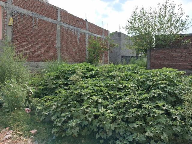 Residential Plot in Sector 144 for resale Noida. The reference number is 20352766
