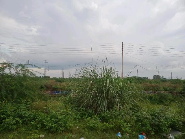 Residential Plot in Sector 145 for resale Noida. The reference number is 17504894