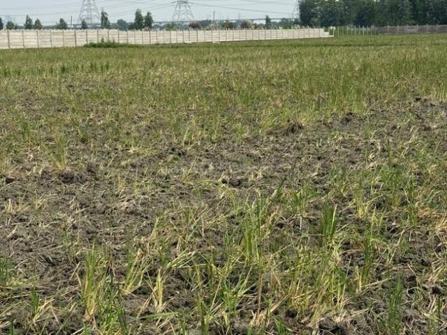 Residential Plot in Sector 148 for resale Noida. The reference number is 19571616