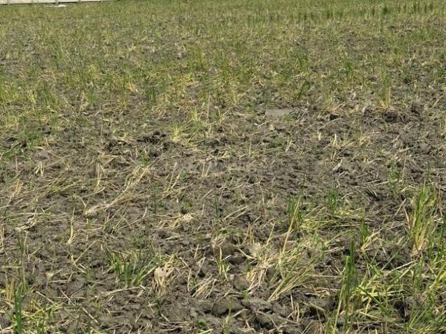 Residential Plot in Sector 148 for resale Noida. The reference number is 19571736