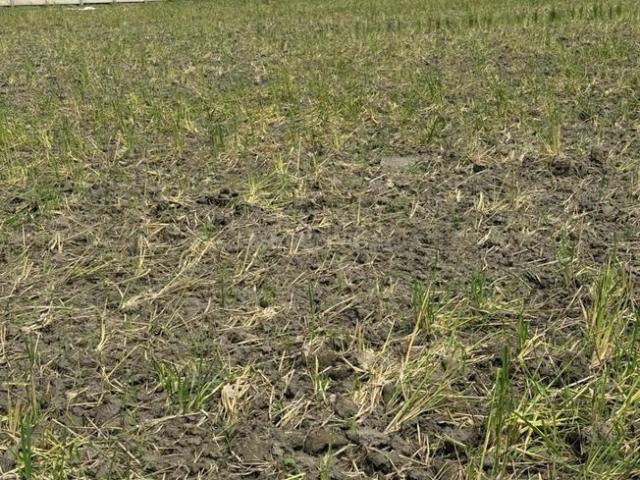 Residential Plot in Sector 148 for resale Noida. The reference number is 19577580