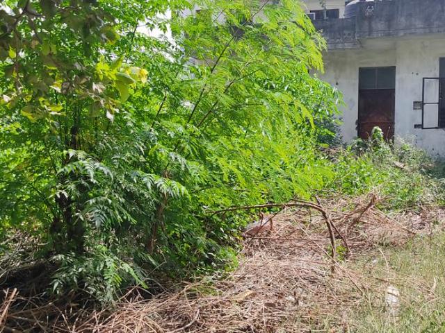 Residential Plot in Sector 14 for resale Gurgaon. The reference number is 20559265