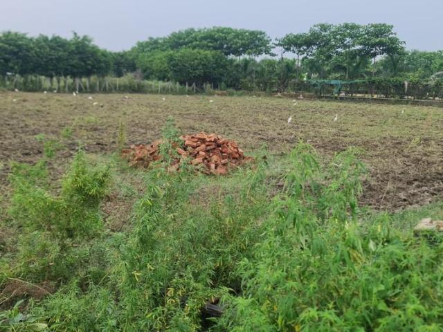 Residential Plot in Sector 150 for resale Noida. The reference number is 18393131