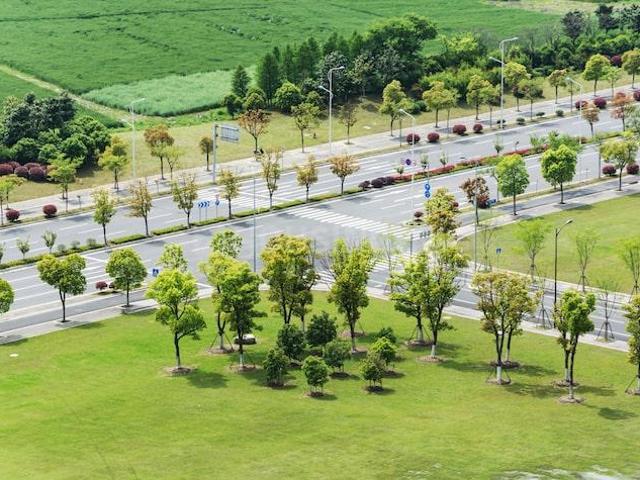 Residential Plot in Sector 16 for resale Panchkula. The reference number is 20120208