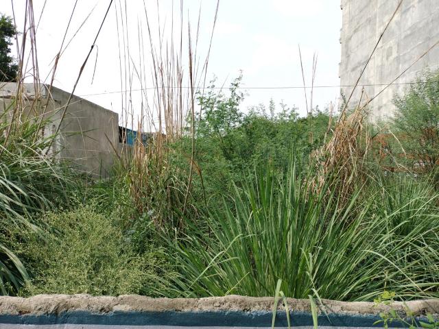 Residential Plot in Sector 23B Dwarka for resale New Delhi. The reference number is 20615076