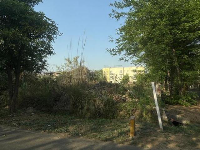 Residential Plot in Sector 25 YEIDA for resale Greater Noida. The reference number is 20070877