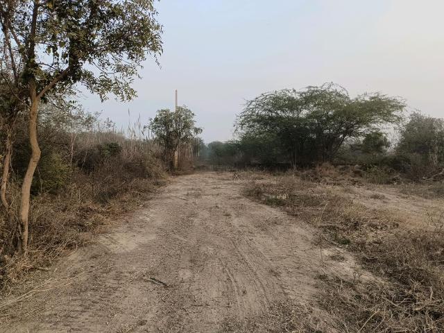 Residential Plot in Sector 34 Rohini for resale New Delhi. The reference number is 19268100