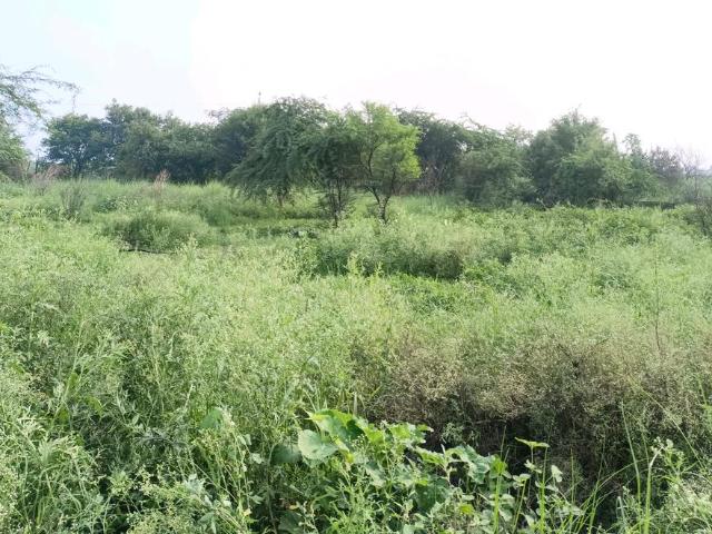 Residential Plot in Puth Khurd for resale New Delhi. The reference number is 20784083
