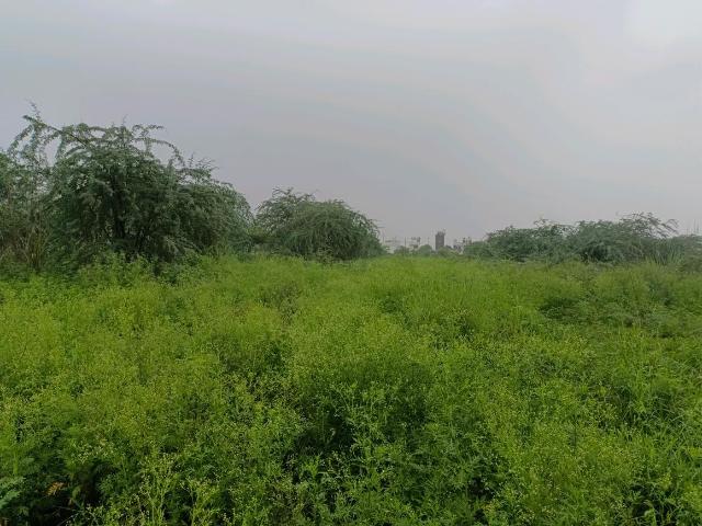 Residential Plot in Puth Khurd for resale New Delhi. The reference number is 20820240