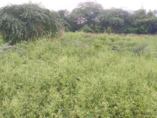 Residential Plot in Puth Khurd for resale New Delhi. The reference number is 20820332