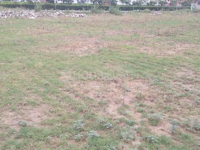 Residential Plot in Sector 3 for resale Panchkula. The reference number is 20902675