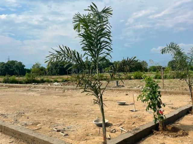 Residential Plot in Selakui for resale Dehradun. The reference number is 20465182