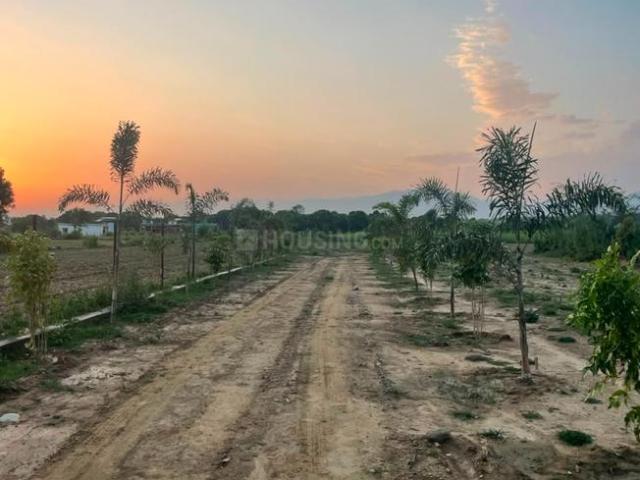 Residential Plot in Selakui for resale Dehradun. The reference number is 20465324