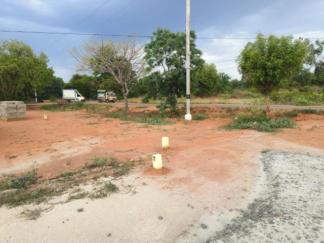 Residential Plot in Sengipatti for resale Thanjavur. The reference number is 17535043