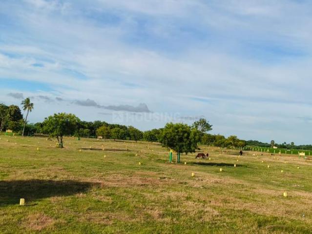 Residential Plot in Sevvapet for resale Chennai. The reference number is 20095686