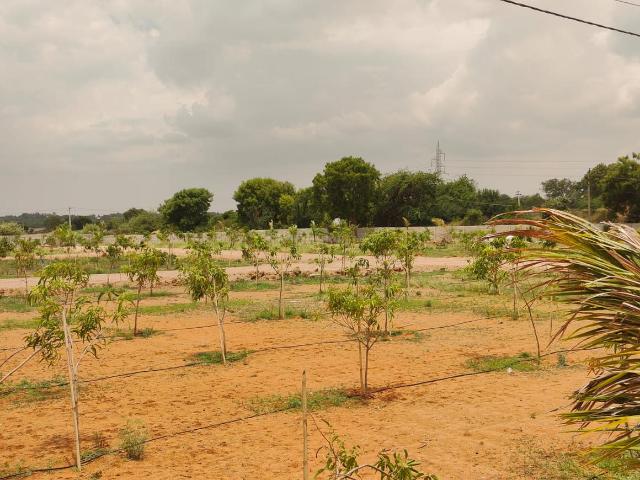 Residential Plot in Shamirpet for resale Hyderabad. The reference number is 20620152