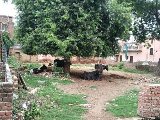 Residential Plot in Shamsabad for resale Agra. The reference number is 20806957