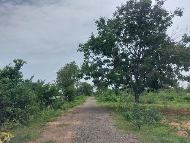 Residential Plot in Shamshabad for resale Hyderabad. The reference number is 14305364